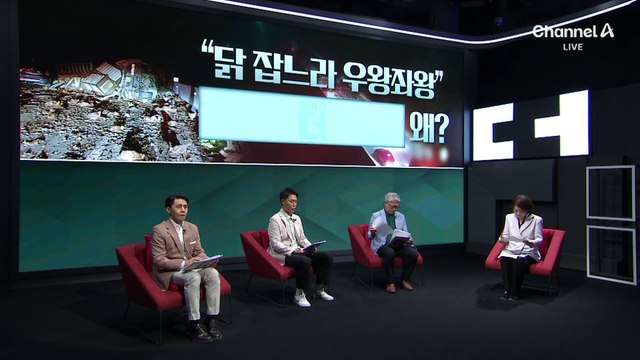 고속도로 화물차 ‘추돌’…도로 위 쏟아진 닭