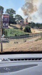 Shocking footage of bush fires at West Midlands Safari Park