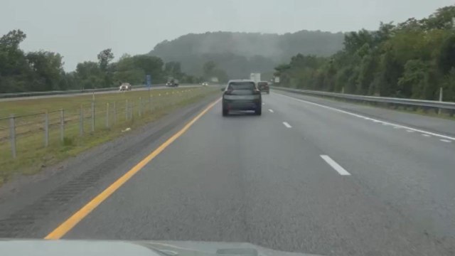 Snake tries to hold onto a moving car but eventually slips and falls