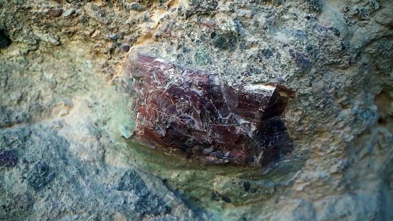 7895823-hd_1920_1080_30fps