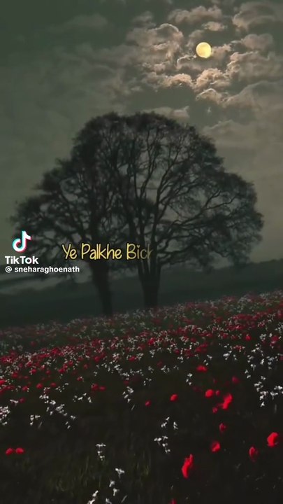main koi asa geet gaou