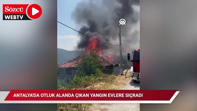 Antalya'da otluk alanda çıkan yangın evlere sıçradı