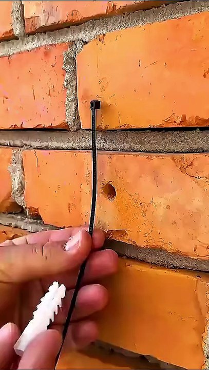 dashort video