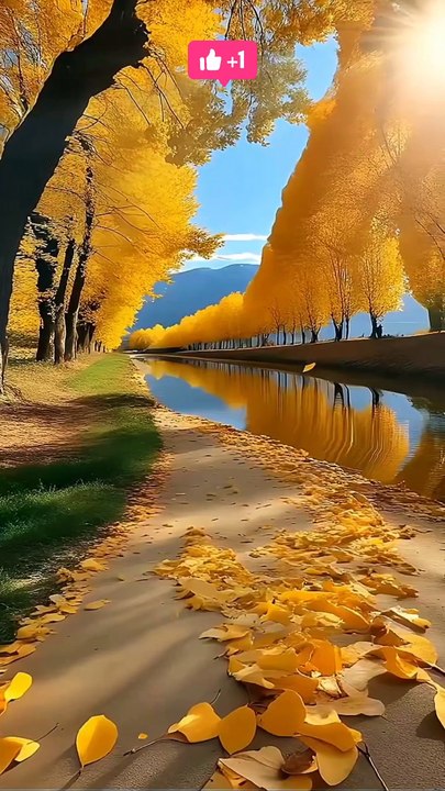 beautiful nature _beautiful piano music