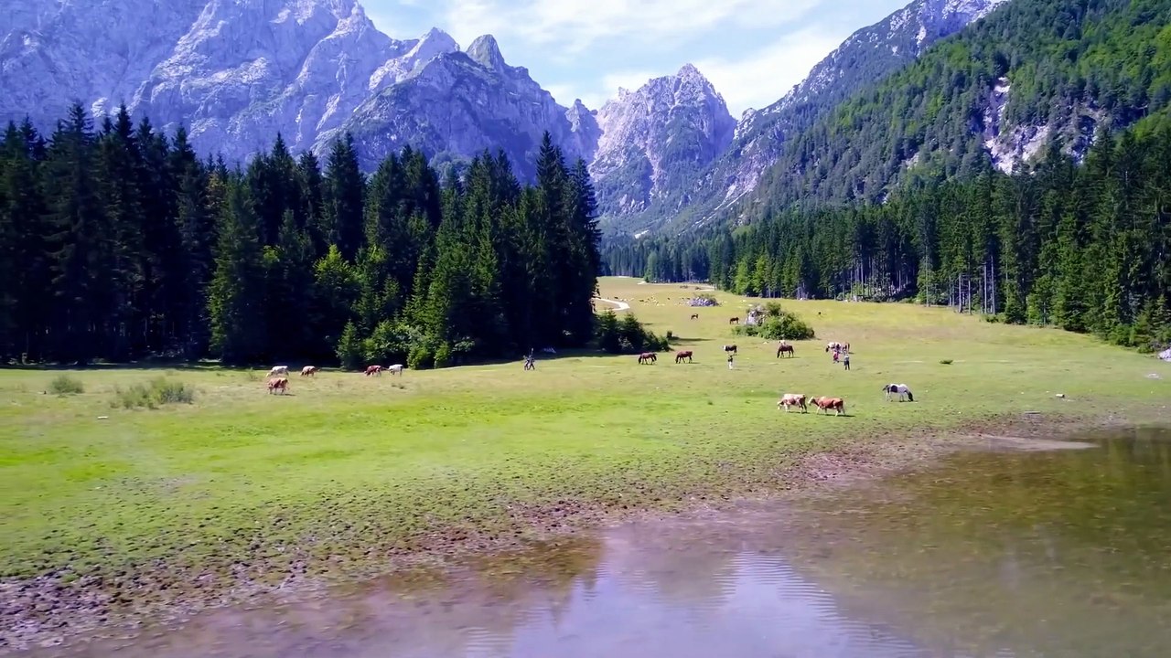 Musique Céleste 🎻✨ Violine, Violoncelle et Piano Relaxants pour Apaiser l'Âme – France & Canada