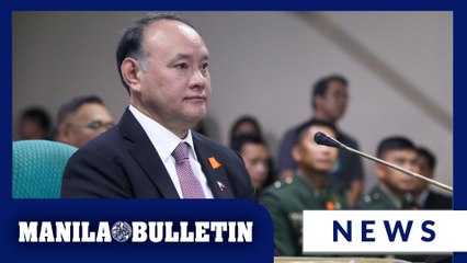 Gibo fights back vs. 'smear campaign' over dual citizenship rumor