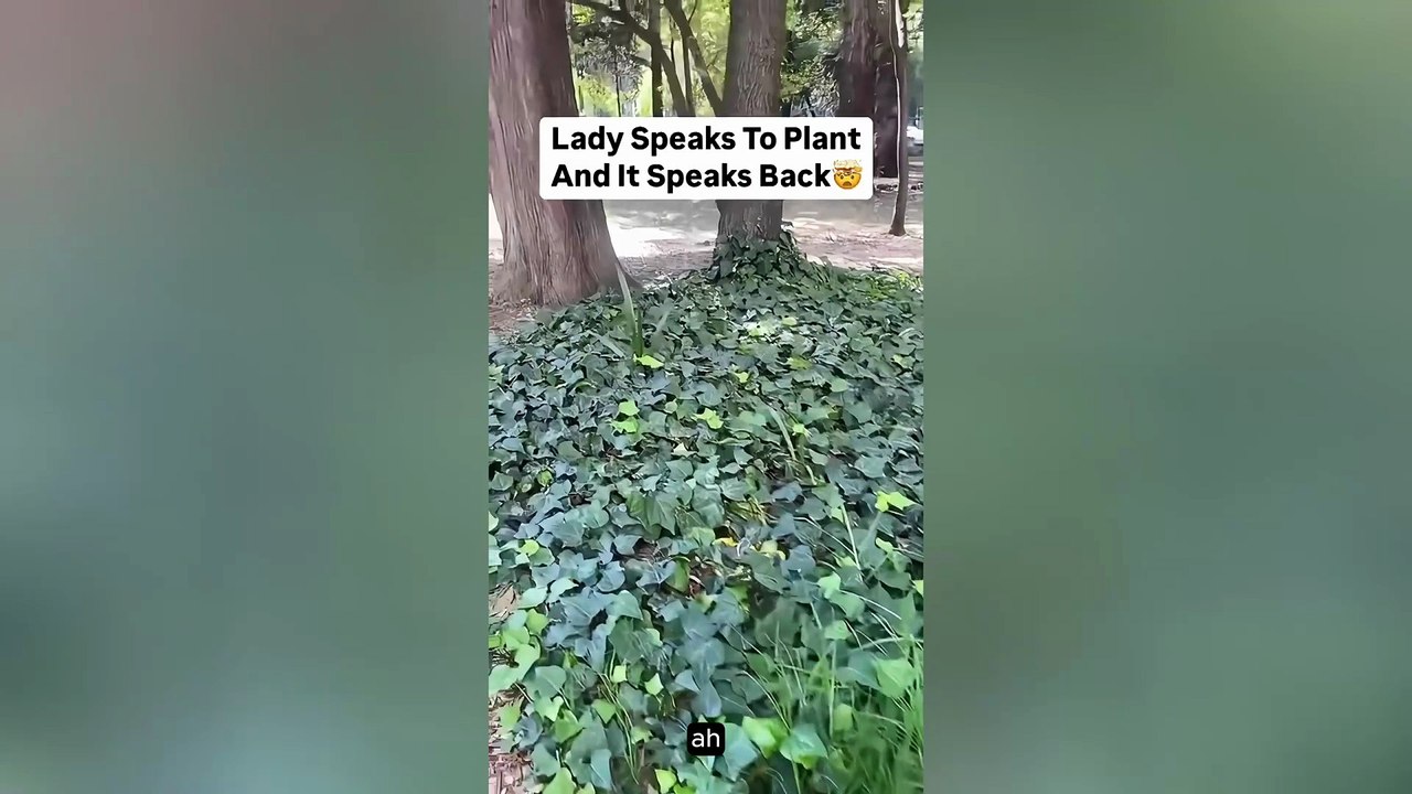 Kurios Unheimlich Bizarr #02