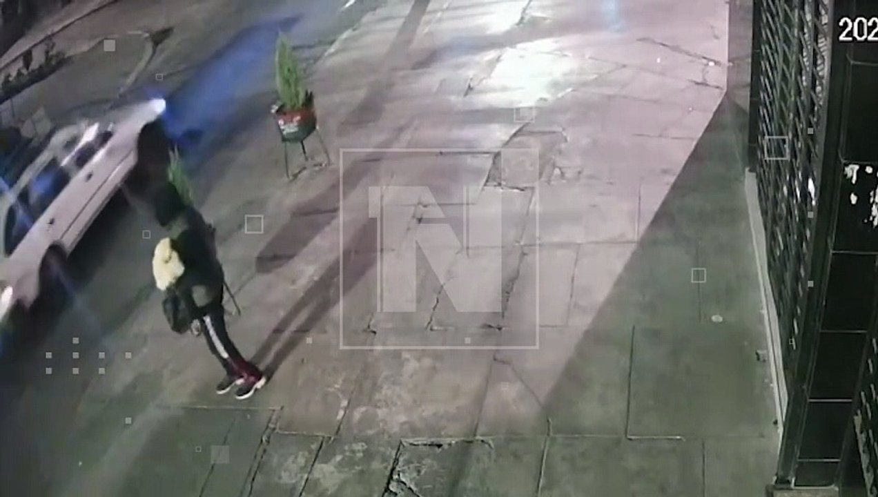 ¡Ni las plantas se salvan! Roban pinos en pleno centro de Cochabamba y todo queda grabado (Video)