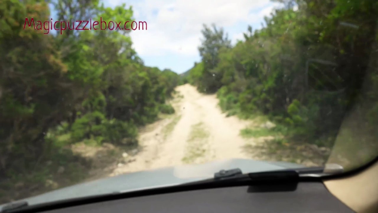 The road to cala luna beach with pigs and cows in Sardinia Italy off-road adventure BMW X5  E70 part1