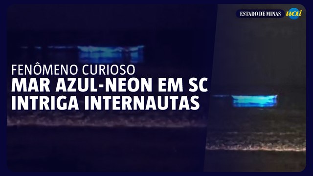 Fenômeno deixa mar fluorescente em praia de Santa Catarina
