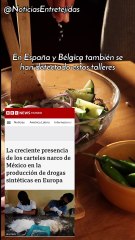 “Los carteles mexicanos ya cruzaron el Atlántico”