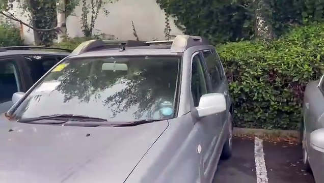 The Department of Infrastructure has issued enforcement notices on several 'abandoned' vehicles at Tesco car park