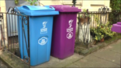 Weekly food waste collections roll-out to start in September