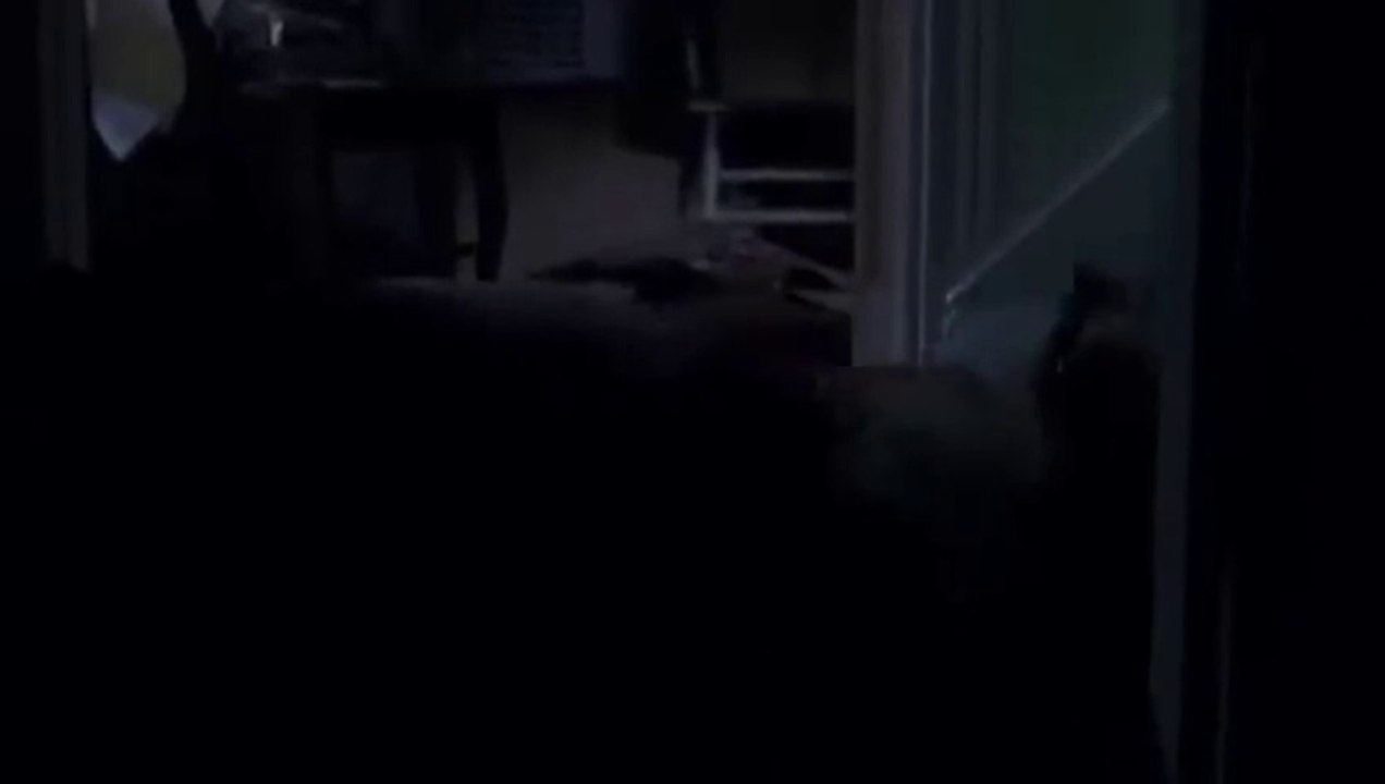 Midsomer Murders Mr Ludlow Murders Dudley Carew Murder on St. Malley's Day