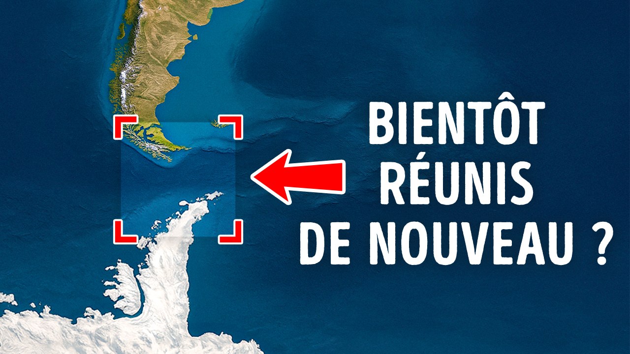 (MULTI) Pourquoi l’Antarctique et l’Amérique du Sud Semblent Presque Identiques