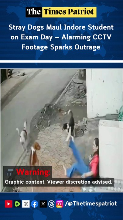 Stray Dogs Maul Indore Student on Exam Day — Alarming CCTV Footage Sparks Outrage