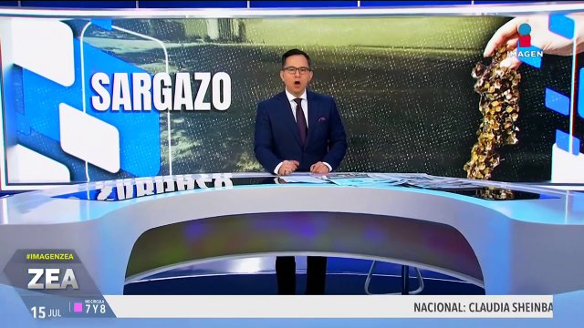 El sargazo pinta de café a las playas del Caribe mexicano y ahuyenta a los turistas