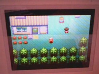 pokémon rubis (2) combat,taches et captures