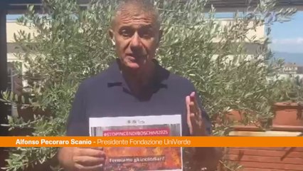 Incendi, Pecoraro Scanio "Emergenza nazionale, Governo intervenga"