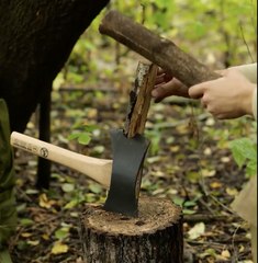 Survive the Wild: Top Food Hunting Hacks from Experts