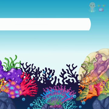 Weird & Wonderful Sea Creatures! | Deep Ocean Animals & Ocean Life Learning for Preschool & Kids |Education Videos | Preschool Learning |