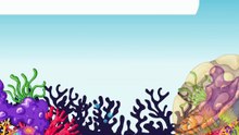 Weird & Wonderful Sea Creatures! | Deep Ocean Animals & Ocean Life Learning for Preschool & Kids |Education Videos | Preschool Learning |