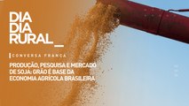 Produção, pesquisa e mercado de soja: grão é base da economia agrícola brasileira