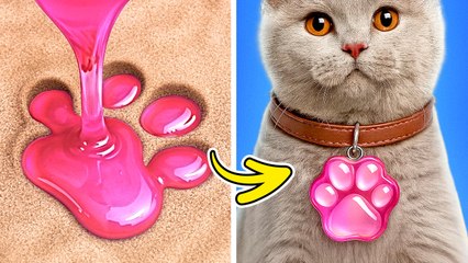 DIY Collar For Your Cat 🐾 🐱 *We Built a House For a Homeless Kitten!*