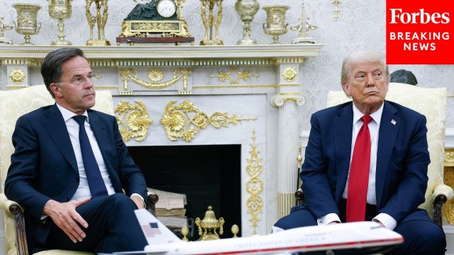 Donald Trump and Mark Rutte Slam Huge Death Toll For Soldiers In Russia-Ukraine War