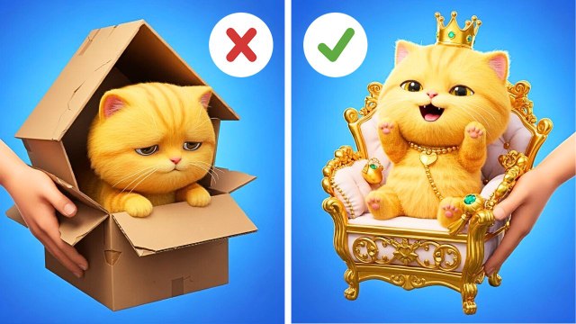 J'ai trouvé un chaton tout sale ! 🐱✨ Maison secrète pour animaux pour garder mon chat en sécurité