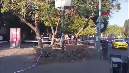 İstanbul'da ağaç yoldan geçenlerin üzerine devrildi