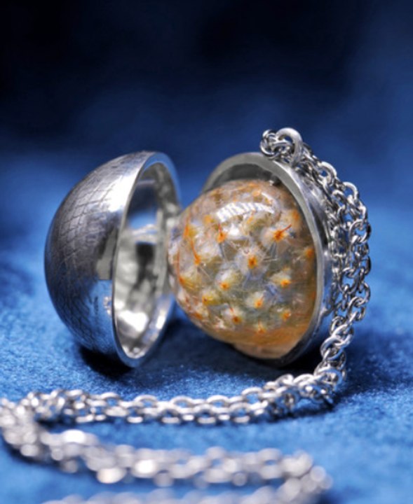 Des cactus hérissés à de superbes bijoux : Un projet de FAIT MAISON amusant pour tous les amateurs de bricolage !