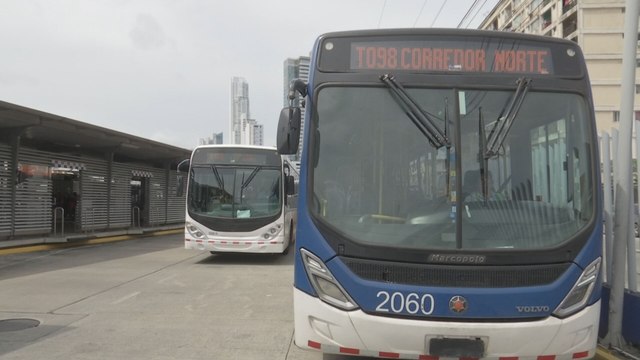 Mi Bus anuncia ampliación de flota y llegada de buses eléctricos con mejoras tecnológicas