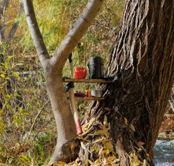 Conseils et astuces pour un voyage en camping parfait !