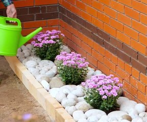 Little Tricks for Lush Gardens