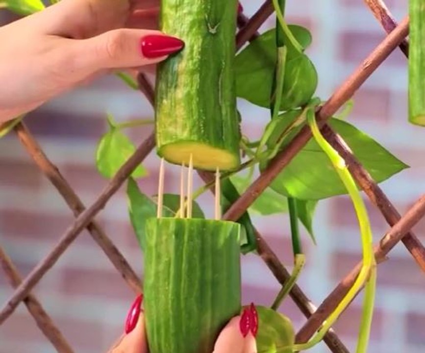 Fun Plant Styling Hacks