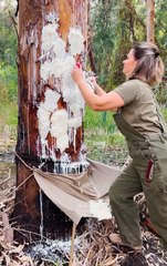 Handcrafted Pencils, Earth-Friendly Style