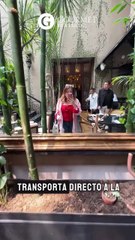 Descubre los Sabores Innovadores de GRAN CANTINA FILOMENO con Chef Alfredo González 🌮