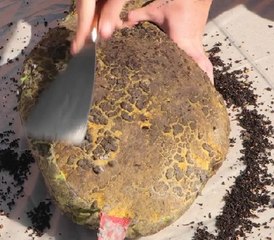 You’d Never Know It Was the Same Toy!