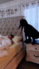 "صحيت لقيت كائن غريب 😱 Wake Up Horror Prank!"#ScaryPrank #WakeUpPrank