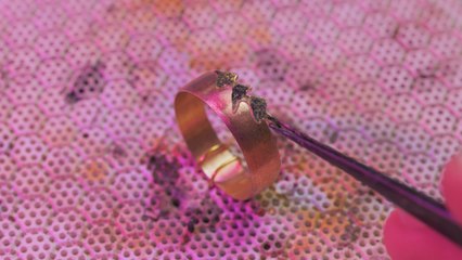 BRICOLAGE Radiance : Créer des bijoux avec le cœur !