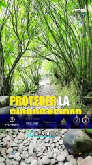 ATBEXPLICA- Bolivia dice no a las bolsas plásticas