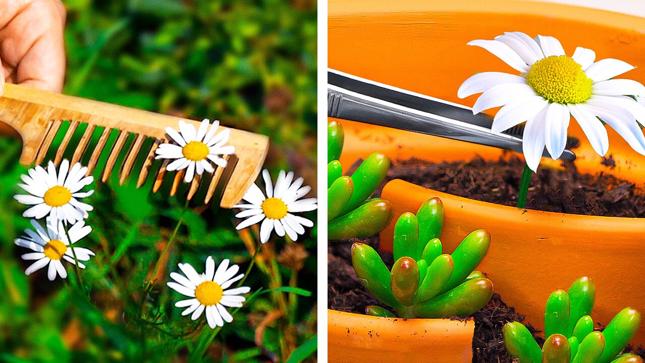 Secret Garden Hacks: Budget-Friendly Garden Tool Hacks with Everyday Items