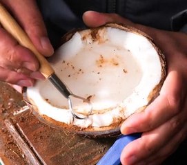 Palm-Forged Beauty: Coconut Craftwork with Soul