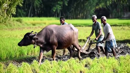 Movie with real life | This movie is the real life story #Movies #AGS #Drama #AGS_Drama