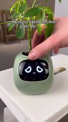 Get yours from the link in our profile! 🌿 - Planti Boys (360p, h264)