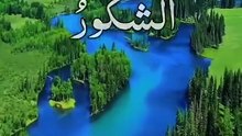 78d9f26da255f0adaecf9b35673be6df