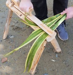 Endless Craft Ideas Using Just What Nature Gives Us 🌾✨