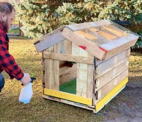 Make your pet feel at home with these DIY house ideas