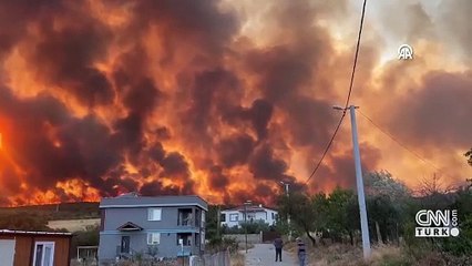 Tekirdağ'da anız yangını ormana sıçradı